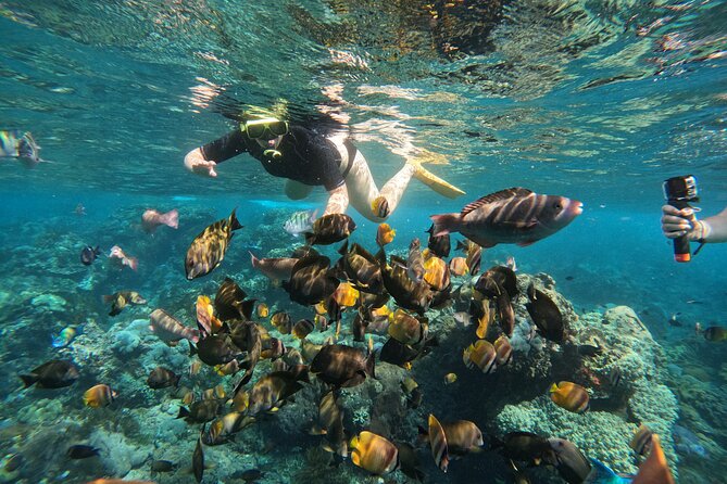 Nusa-Penida customize Tour - All inclusive - Lunch is practical, but keep expectations modest