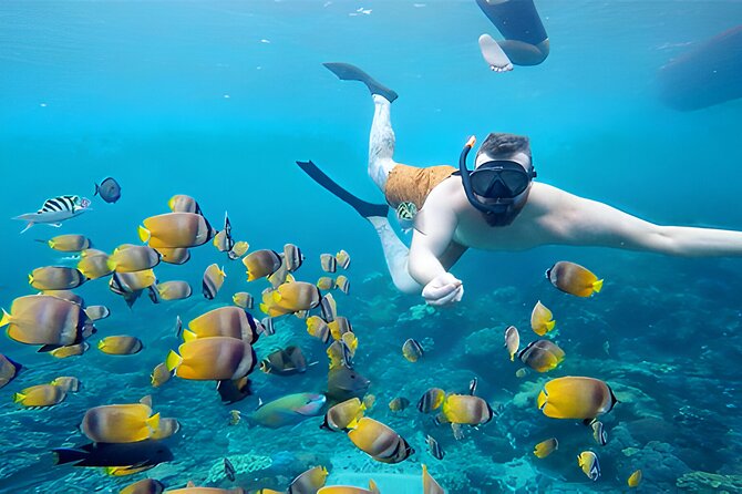 Nusa Penida Island Beach Tour With Snorkeling - Departure From Bali Island - Crystal Bay: coral, fish, and possible turtles