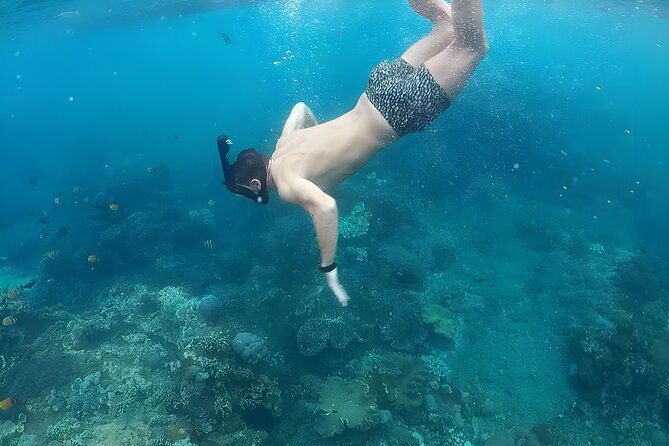Nusa Penida Island Beach Tour With Snorkeling - Departure From Bali Island - Lunch gives the day a necessary pause