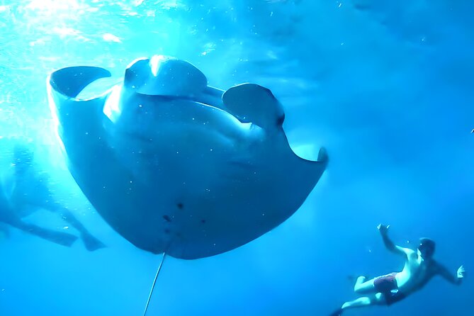 Nusa Penida Island Beach Tour With Snorkeling - Departure From Bali Island - Gamat Bay: a strong first look underwater