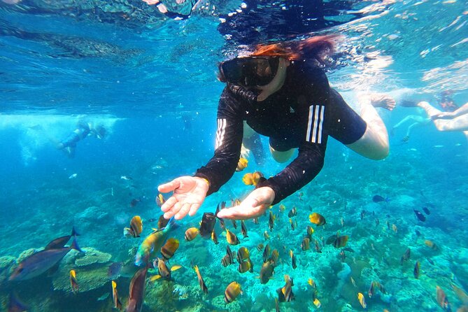 Nusa Penida Island Tour Package With Snorkeling - The organization issue you should take seriously
