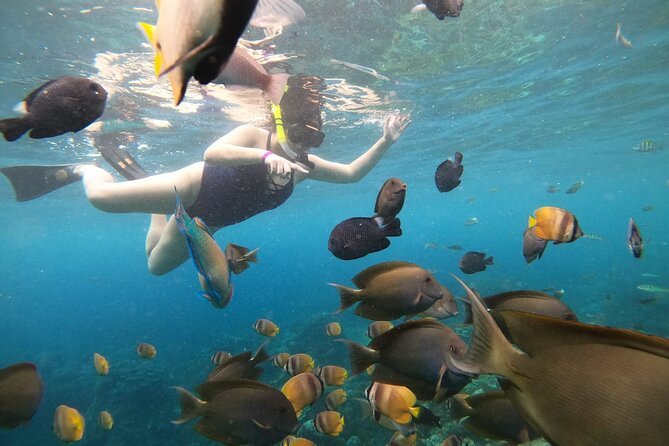 Nusa Penida Land Tour and 4 Points Snorkeling with Manta - Returning to Sanur by 6:00 pm