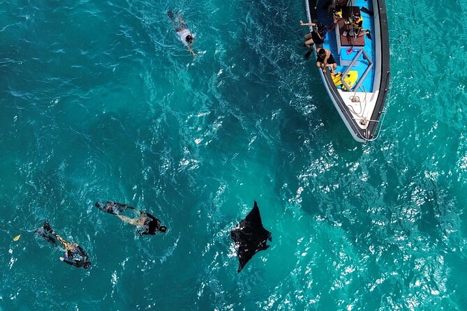 Nusa Penida Private Snorkeling and West Tour Start from Bali - Key points to know before booking