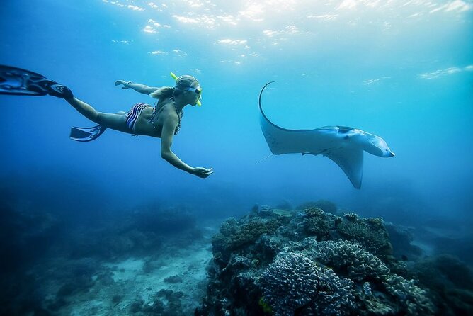 Nusa Penida Private Snorkeling and West Tour Start from Bali - Three snorkeling bays and a chance at manta rays