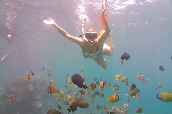 Nusa Penida Private Snorkeling Tour with West Island Trip - Starting at Sanur Harbour