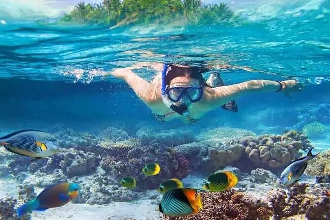 Nusa Penida West trip with snorkeling at 3 spot with Free Meals - Key points before you book