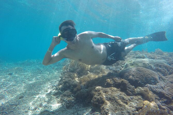 One Day Snorkeling Trip & West Tour Nusa Penida by Penidago - A small group, with some public transport