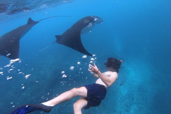One Day Snorkeling Trip & West Tour Nusa Penida by Penidago - What the $25 price really covers