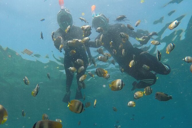 One Day Snorkeling Trip & West Tour Nusa Penida by Penidago - The guide can shape the day
