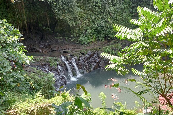 Penglipuran Village Waterfall Swing Private Guided Tour - Kemenuh Monkey River Adds a Forest Stop