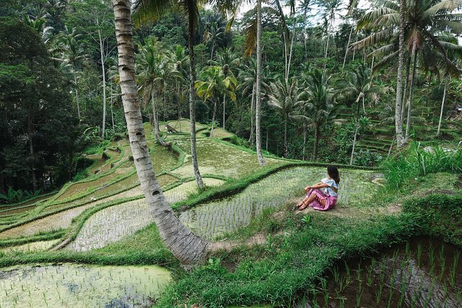 Private Bali Car Charter with Driver up to 6 People - Picking up from Ubud, Seminyak, and the coast