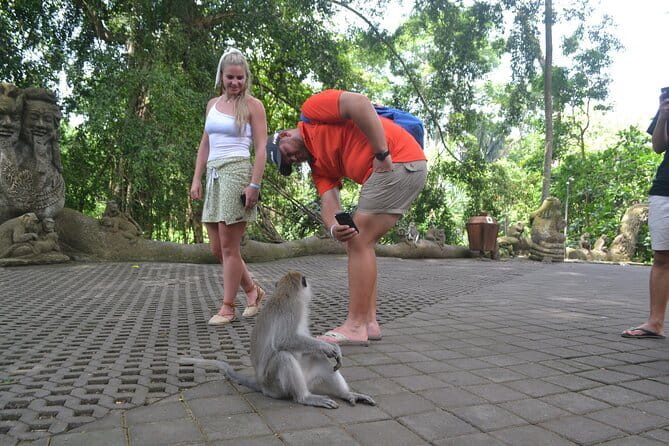 Private Bali Customized Tours - Ubud’s temples, market, and rice terraces