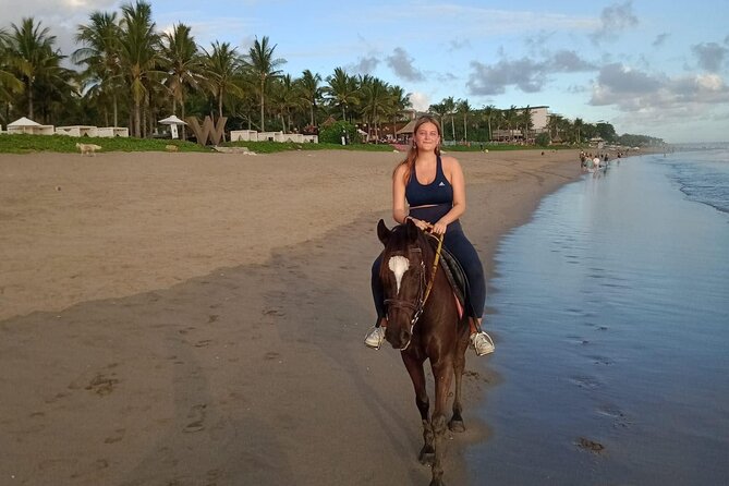 Private Bali Horse Riding In Seminyak Beach - Horses, welfare, and safety