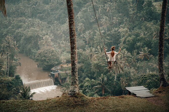 Private Customized Trip to Ubud - Adding Tegalalang Rice Terrace to the plan
