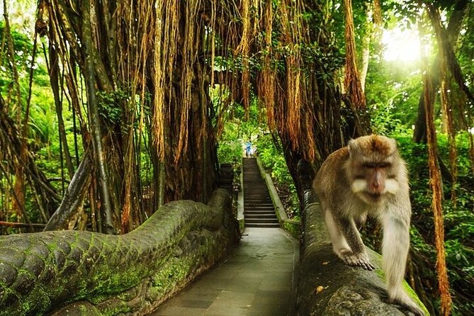 Private Day Tour In Ubud With Jungle Swing All Inclusive - A private route from Seminyak to Ubud