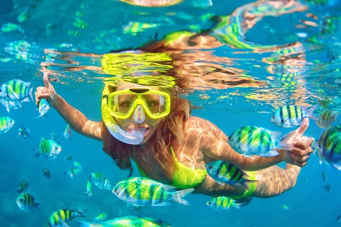 Private Full-Day Lovina Dolphin Watching and Snorkeling Boat Tour - Returning to your hotel by about 3:30pm