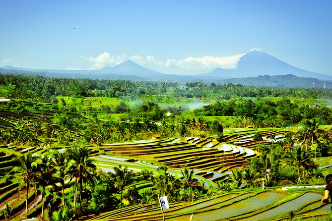 Private Full-Day Tour: Discover The Best of Bali Destination - Jatiluwih’s rice terraces and rural scale
