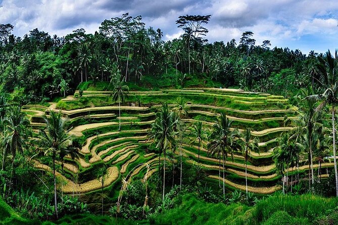 Private Full Day Tour In Ubud Bali - Tegenungan Waterfall: the day’s biggest change of pace
