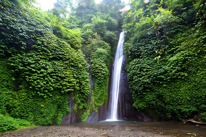 Private Full-Day Tour : North Bali Trip to Discover The Culture of Bali Island - What this North Bali day actually feels like