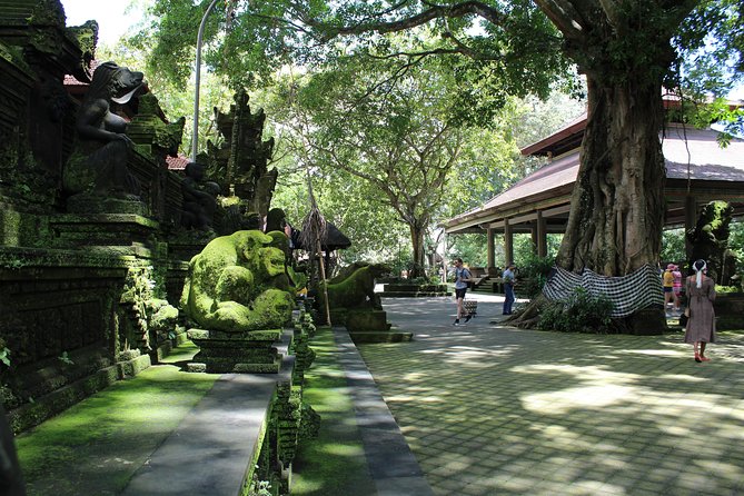 Private Full Day Tour to Ubud Highlights with Giant Swing - Why this private Ubud day works