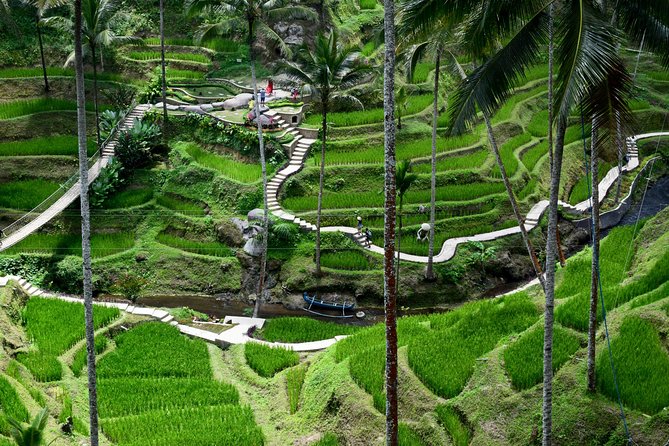 Private Full Day Tour to Ubud Highlights with Giant Swing - Tegenungan Waterfall and the walk to the water