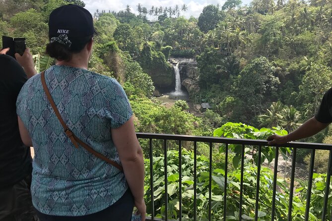 Private Full Day Tour to Ubud Highlights with Giant Swing - What the $73 price covers