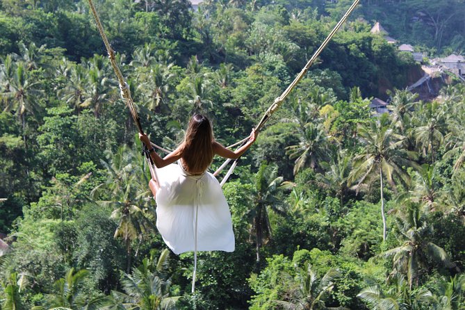 Private Full Day Tour to Ubud Highlights with Giant Swing - The driver-guide can shape the whole day