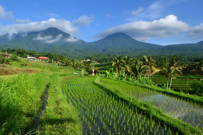 Private Full-Day Tour: Ulun Danu Beratan Temple, Jatiluwih and Tanah Lot Temple - Why this private Bali day trip works
