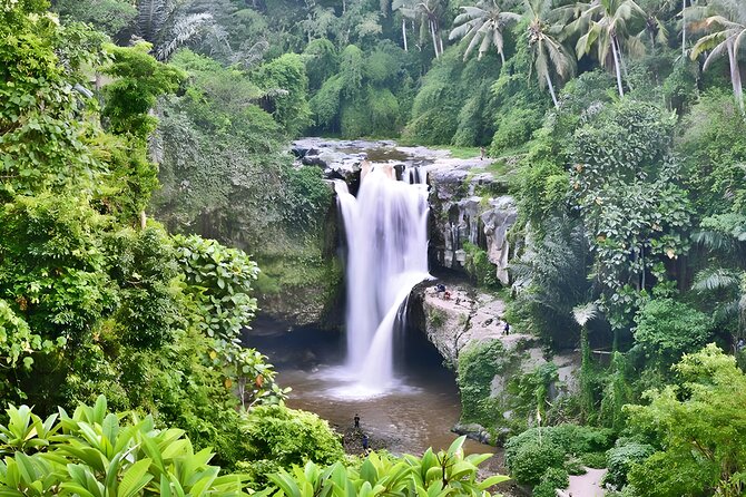 Private Half-Day Tour: The Best Ubud Half Day Trip Packages - Morning or afternoon departure: choose with care