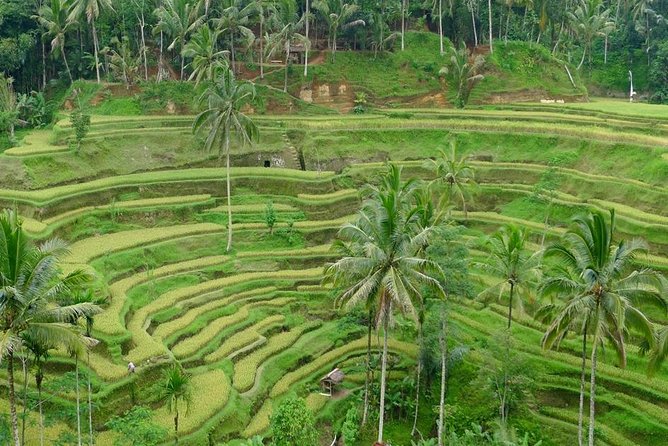 Private Inclusive Tours: 2 Days highlight of Bali - Batuan Temple and the first taste of Balinese culture