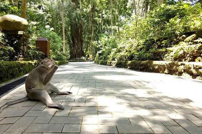 Private Inclusive Tours: 2 Days highlight of Bali - Ubud Palace, the Monkey Forest, and the art market