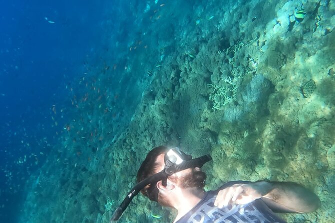 Private Nusa Penida Snorkeling Tour - What private really means here