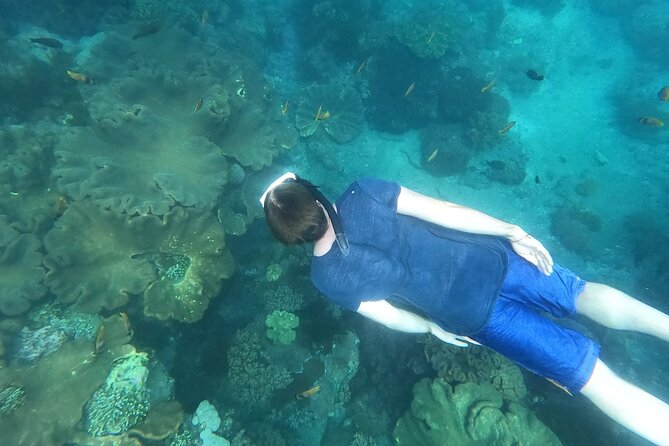 Private Nusa Penida Snorkeling Tour - Who should book this day trip?