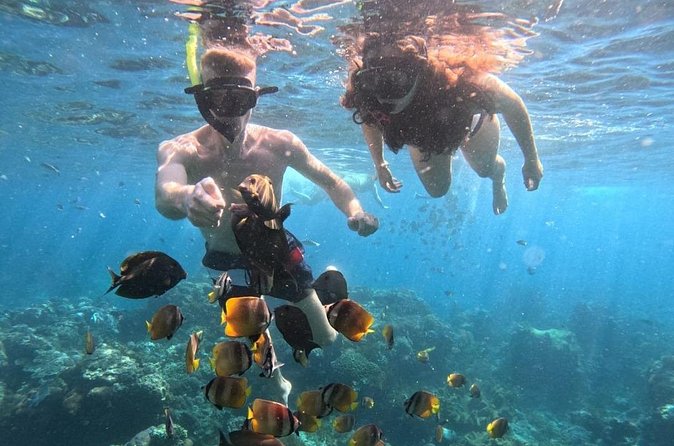 Private Snorkeling from Nusa Penida - The physical side of the day