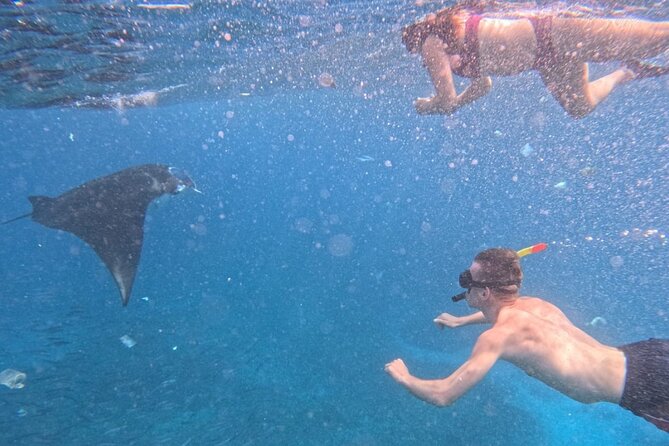 Private Snorkeling from Nusa Penida - What private service changes