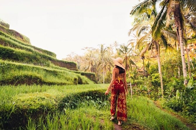 Private Tour Ubud: Swing at Rice Field with Temple and Waterfall - Aloha Ubud Swing: Bali’s most camera-ready opening