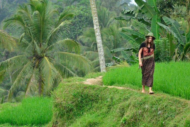 Private Tour Ubud: Swing at Rice Field with Temple and Waterfall - What the $36.23 price really buys you
