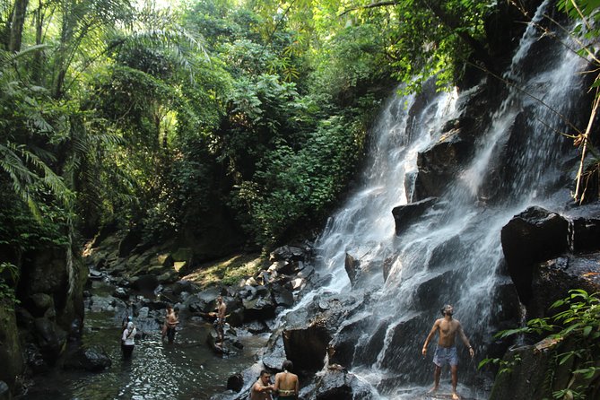 Private Waterfall Tour Feature Tukad Cepung, Tibumana and Kanto Lampo - Three Very Different Waterfalls in One Long Bali Day