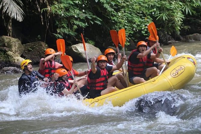 Rafting Swing Monkey Forest And Waterfall Tour All Inclusive - Happy Swing Bali and its ready-made photo session