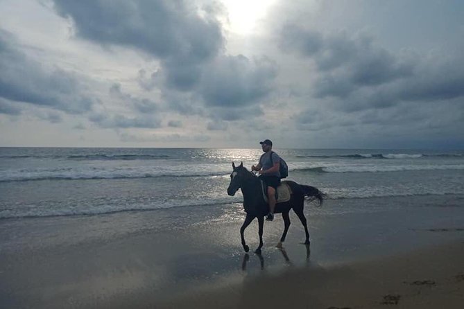 Seminyak Beach Bali Horse Riding - What happens during the beach stop