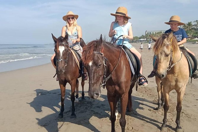Seminyak Beach Bali Horse Riding - Is $63.95 good value for one hour?