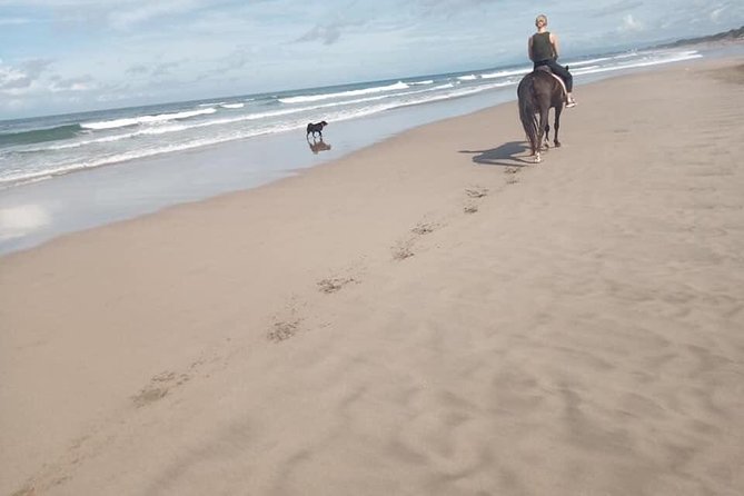 Seminyak Beach Bali Horse Riding - Booking, cancellation, and weather details