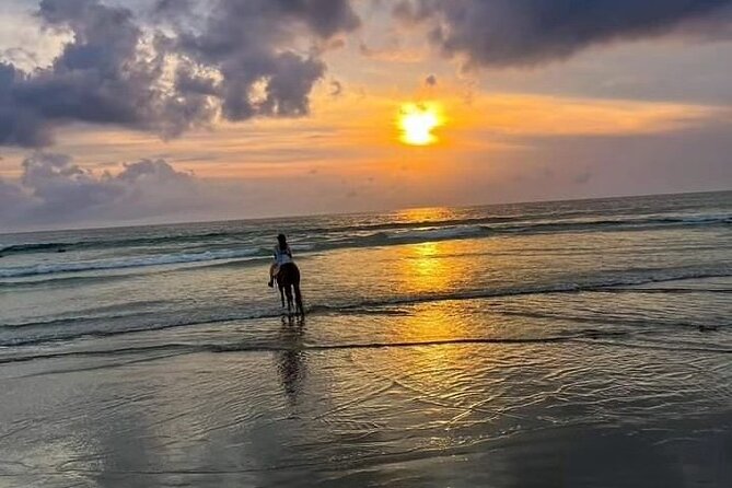 Seminyak Horse back riding In the beach - What the Seminyak beach ride is really like