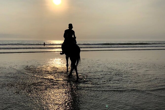 Seminyak Horse back riding In the beach - Horses, ponies, and the experience for children
