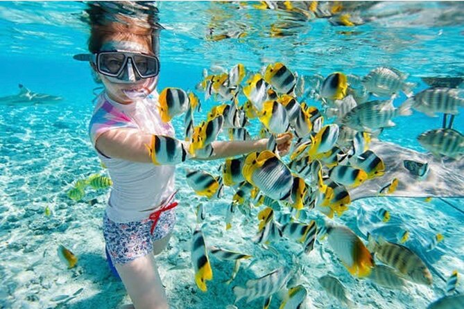 Snorkeling At Blue lagoon And Hidden waterfall - Two snorkeling stops near Padang Bai