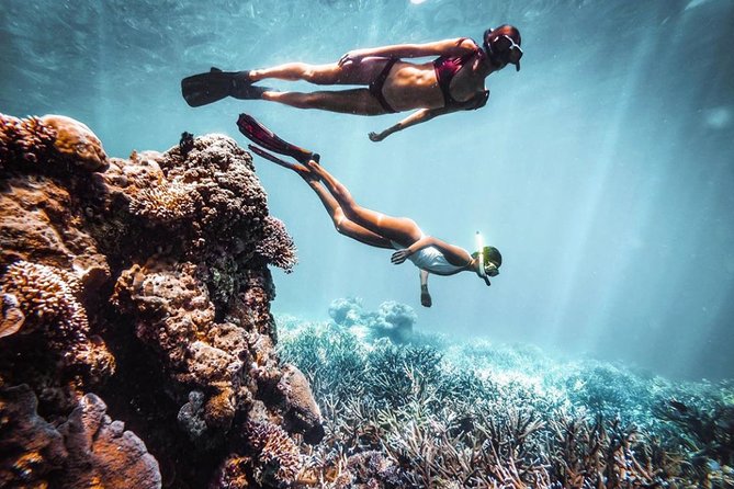 Snorkeling At Blue lagoon And Hidden waterfall - Coffee tasting at Satria Coffee Plantation