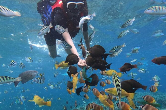 Snorkeling At Blue lagoon And Hidden waterfall - A Balinese lunch between the main stops