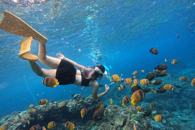 Snorkeling Day Trip To Lembongan and Penida - Manta rays set the tone for the day