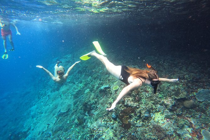 Snorkeling Day Trip to Nusa Lembongan and Nusa Penida - Key points to know before booking