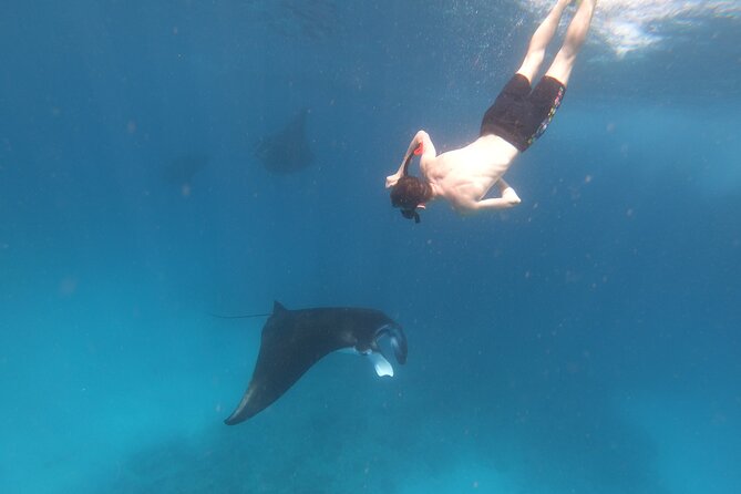 Snorkeling Day Trip to Nusa Lembongan and Nusa Penida - Lunch, photos, and the afternoon add-on